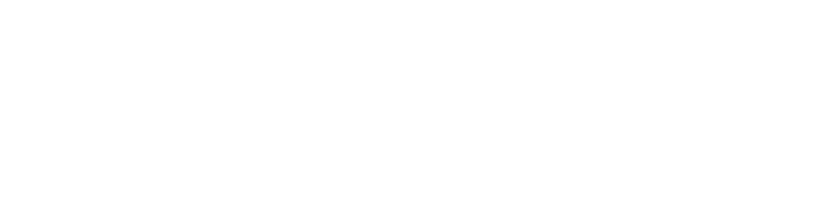 PalmoxMitasneakers